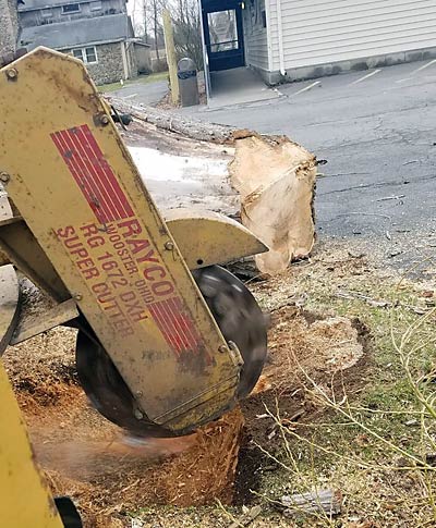 Stump removal