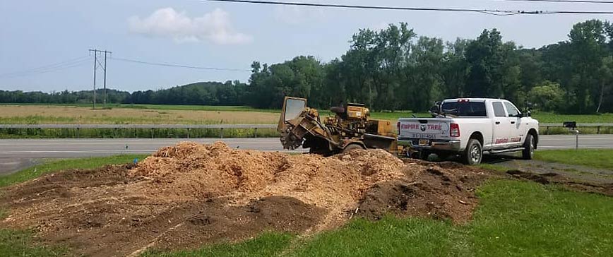 Stump removal